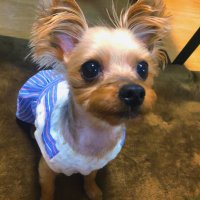 2歳双子ママ@あーさ (@mdfutagochan) 's Twitter Profile