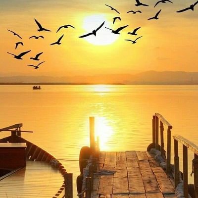 AlmdyytAldrr's profile picture. 