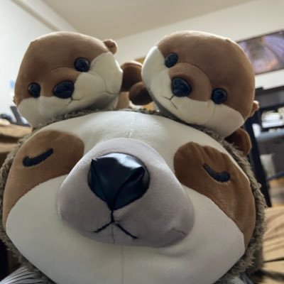 solosolofight's profile picture. お気楽不動心