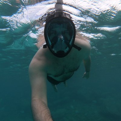 llmeireles's profile picture. 