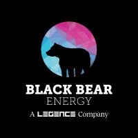 Black Bear Energy (@helloblackbear) 's Twitter Profile