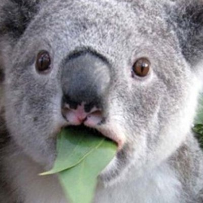 A game developer from Australia that loves working with the Unity Engine.