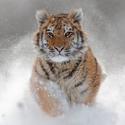 Avi_Bob_'s profile picture. Search the truth ; hold it to the end.

Injustice anywhere is dangerous to the justice everywhere.

A room without books is like a body without Soul.