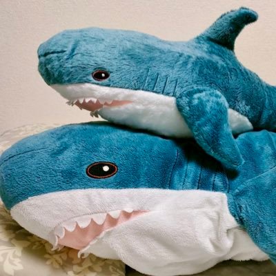くまモンを崇め讃えよ/モン教信徒 20↑♀ 台湾独立 北方領土返還 #くまサメ万博 関東通期パス勢