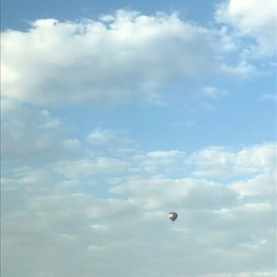 nvyuj's profile picture. 