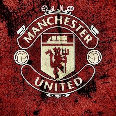 30yrs + supporter of the only team that matters MANCHESTER UNITED. I always follow back!!!