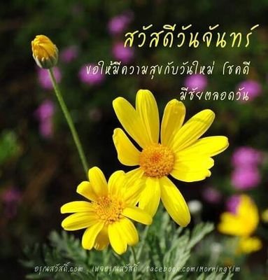 ควยไร