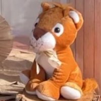 🐸🦋 (@kissmo96) 's Twitter Profile Photo