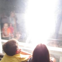 Minnesota Church Spray and Pray (@darkrazor2003) 's Twitter Profile