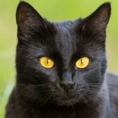 GabrielF2810's profile picture. 