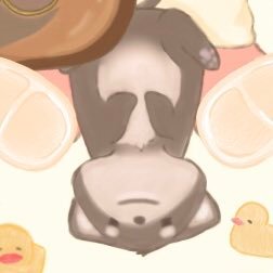 すい☔️さんのプロフィール画像