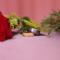 امان ماتخافش (@mo_essawy) Twitter profile photo