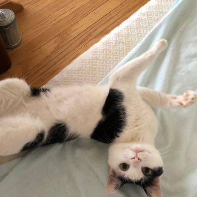 af4dfb052025446's profile picture. ダイアモンドアートにハマってます。 休みの日ダイアモンドアートする