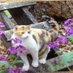LA Blue Dot in GA ๐๐ (@namwella1961) Twitter profile photo LA Blue Dot in GA ๐๐ (@namwella1961) Twitter profile photo