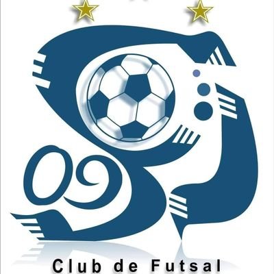 Somos un club mexicano, integrado por estudiantes; nuestras jugadoras practican el FUTSAL FIFA. Buscamos promover esta disciplina dentro de nuestro país.