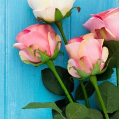 mym328695122's profile picture. سبحان الله وبحمده