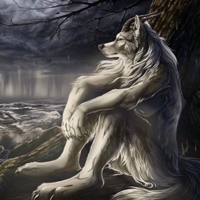 _llevaL's profile picture. 