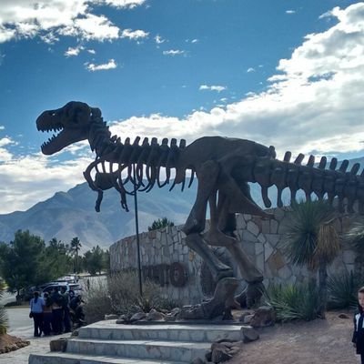 ginnettaprone's profile picture. 