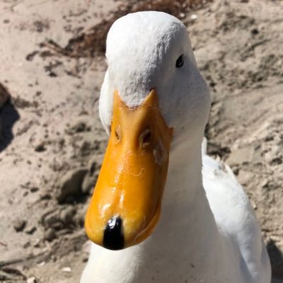 gmastermang's profile picture. Hey