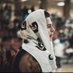 Donovan Smith (@d_smith2022) Twitter profile photo Donovan Smith (@d_smith2022) Twitter profile photo
