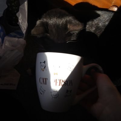 Kipさんのプロフィール画像