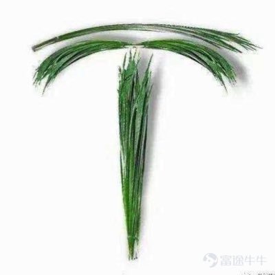 majianfeng3's profile picture. 