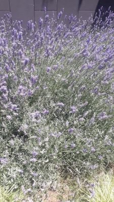 Mohamme06999490's profile picture. سنكل فحل الخاص مفتوح دائما ادخلي خاص بسرية تامة مهما كان عمرك المهم ترتاحي