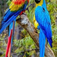 M.A. (@mohsena53648133) 's Twitter Profile