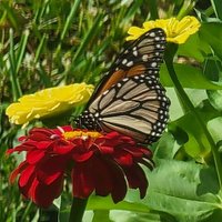 janie black (@janieblack19) 's Twitter Profile Photo