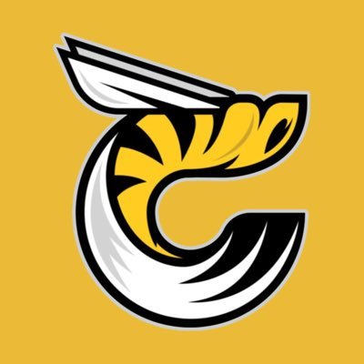 the official Twitter account of the Cincinnati Stingers of the @WHA_2022 #StingOn