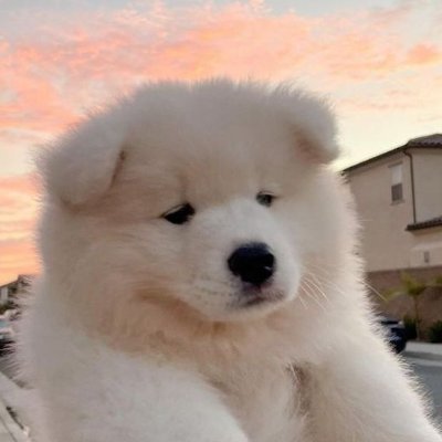 letsgohydro_'s profile picture. bannet på 5k