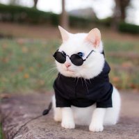 ๐๐ข๐ด๐ฎ๐ช๐ฏ๐ถ๐ฎ (@lonewai1) 's Twitter Profile