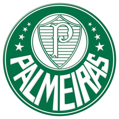 Torcedor da Sociedade Esportiva Palmeiras e irmão do @andersouza07 !!!