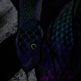 OilSlickedViper's profile picture. 26 🖤 they/he 🖤 photographer