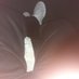 Justin BG Case (@justincase2244) Twitter profile photo Justin BG Case (@justincase2244) Twitter profile photo