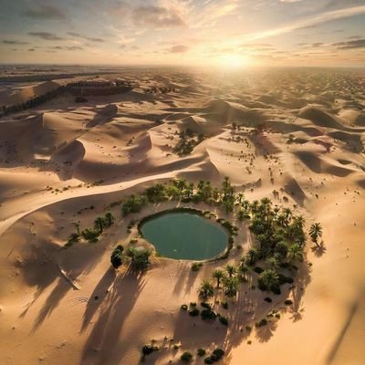 Murava_09's profile picture. Greatness has no peak.