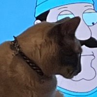 R eece (@tradingwreckage) 's Twitter Profile Photo R eece (@tradingwreckage) 's Twitter Profile Photo