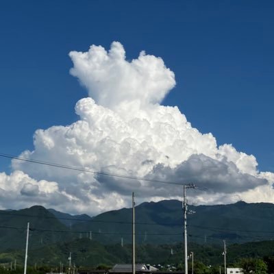 空気の読めないアル中夫に疲れる日々。子供達ともうんざりしてるけど、離婚する勇気もない。親が認知症、徘徊、介護問題あり。 中3息子、昨年9月より不登校になり、大学生の娘も心病んでこの度休学。一度きりの人生、もっと楽しみたい✨自分の心を保つ為に、辛いことを適当に呟きます☺️婚外✖️副業勧誘✖️