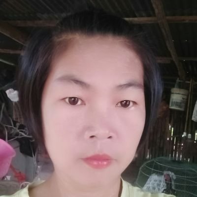 SaensukhYuwdi's profile picture. 