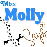missmollysays(@missmollysays2) 's Twitter Profile Photo