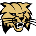 GoldenBobcat (@golden_bobcat) Twitter profile photo GoldenBobcat (@golden_bobcat) Twitter profile photo