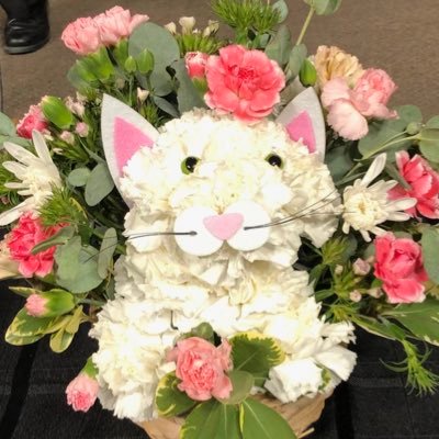 grandma_shitzu's profile picture. Grandma with attitude ;)