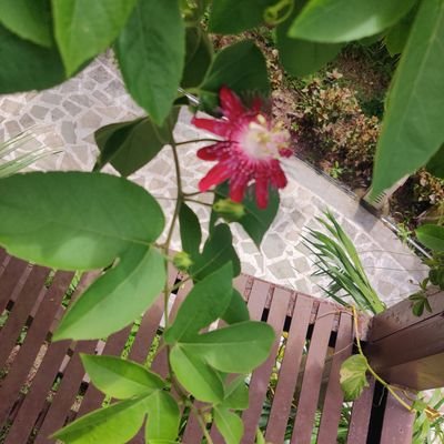 anchaldhiman's profile picture. 