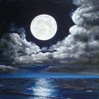 Jhonata12282904's profile picture. 