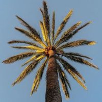 Femdom Kingdom (@femdomkingd0m) 's Twitter Profile