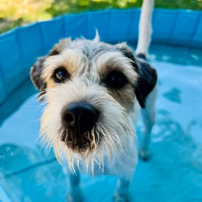 RKLeCornu's profile picture. 