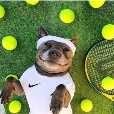 Only live tennis handicapper in the biz🎾💸🌏 I can smell a break before it happens… Live dog always barks 🦴🐕 #GamblingTwitter Allez Arthur 🇫🇷
