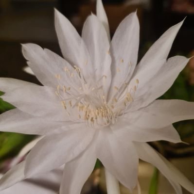 JuliaDeBurgos6's profile picture. 🇵🇷
RT's no siempre son endosos.