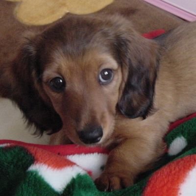 rikusora9317's profile picture. 北海道旭川市在住のワンコ、ニャンコ、ラーメン、サウナ好きのサラリーマンです。反日嫌いで自衛隊大好きの自民党員です。高市首相を全面的に応援します‼️真の保守政治の幕開けだ🎉🎊売国奴共よ震えて眠れ😏