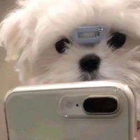 🐌 (@nxon81) 's Twitter Profile
